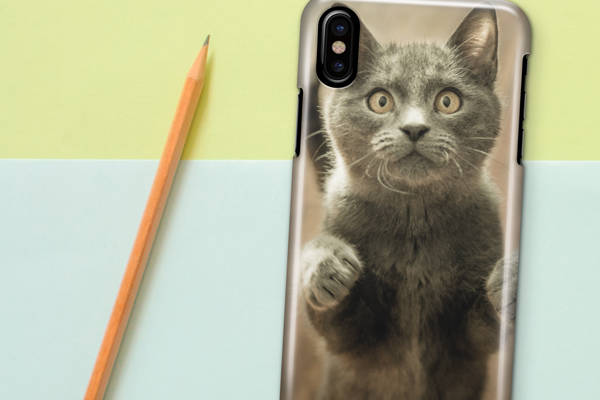 Cat Phone Case