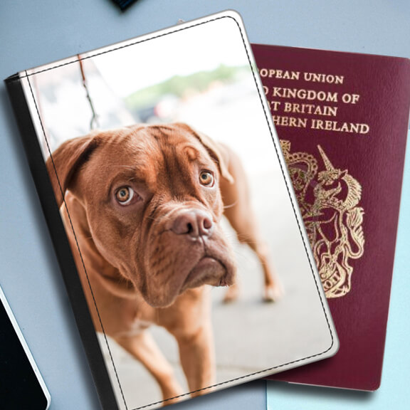 Faux Leather Passport Cover